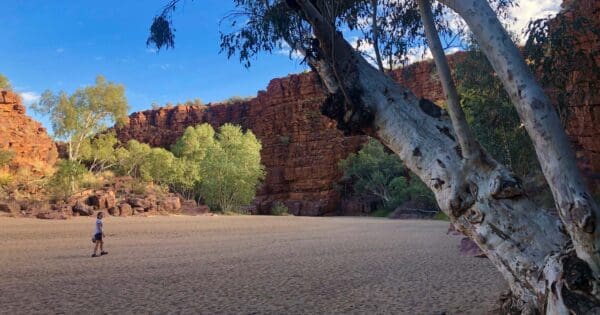 Hikes Trephina gorge walk 600x315