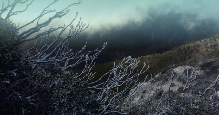 Buller huts trail australia