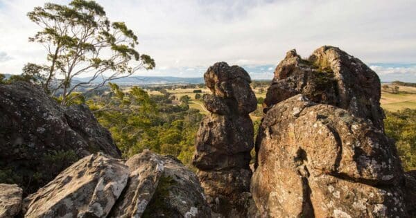 Camel's Hump (2.5km) Hanging rock summit walk 600x315