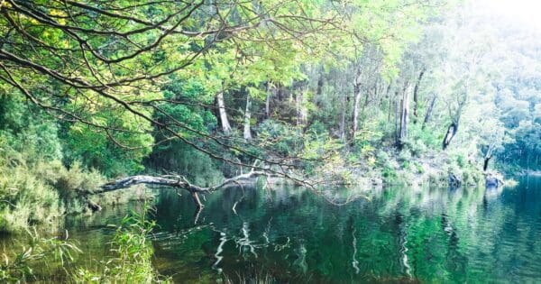 Lake tali karng tamboritha road and mt margaret 600x315