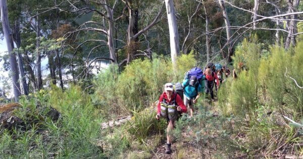 Hikes Lake tali karng wellington river and clive lanigan track 600x315