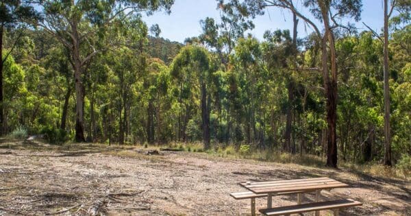 Hikes Long gully misery creek loop 600x315