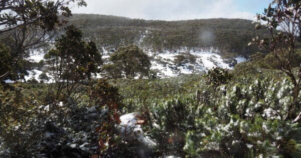 Mount St Gwinear Hike (8km) Mount st gwinear to mount whitelaw 600x315