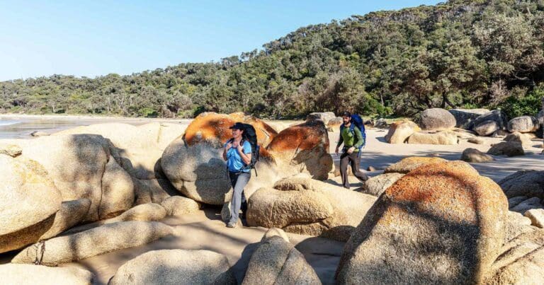 Wilderness Coast Walk (100km) Wilderness coast walk 768x403