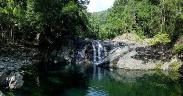Peters Creek Lookout Walk (500m) Artists cascades 600x315