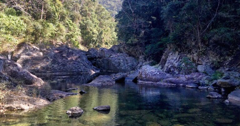 Booloumba Falls Walk (3km) Booloumba falls walk 768x403