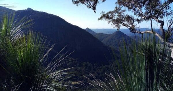 Hikes Brummies lookout loop 600x315