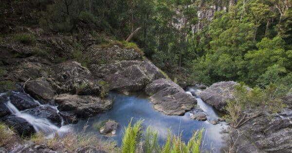 Peters Creek Lookout Walk (500m) Conondale range great walk 600x315