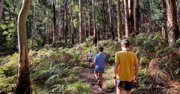 Pyrenees Endurance Walk (22km) Fiery loop 600x315