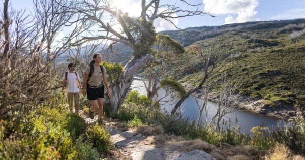Hikes Guthega to charlotte pass walk 600x315