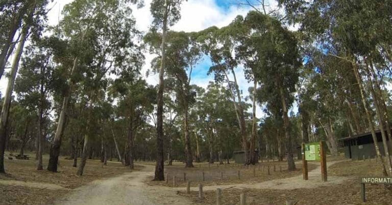 Jenny Clayton Circuit Hike (8.5km) Jenny clayton circuit 768x403