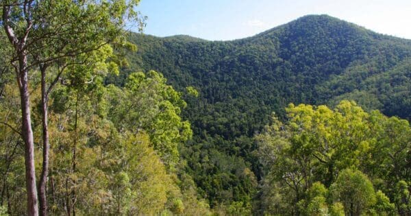 Mount allan trail 1 600x315