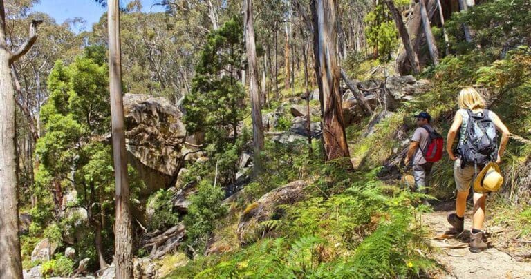 Mount Sugarloaf Circuit Hike (15km) Mount sugarloaf circuit 768x404