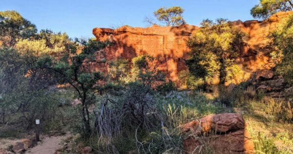 Hikes Edneys trail 600x315