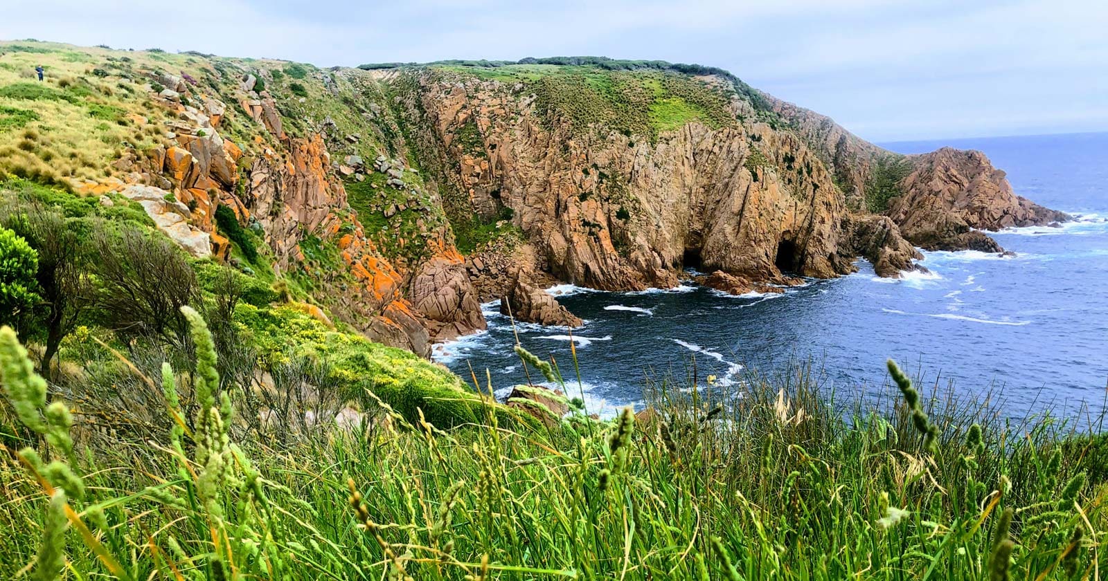 Cape woolamai circuit