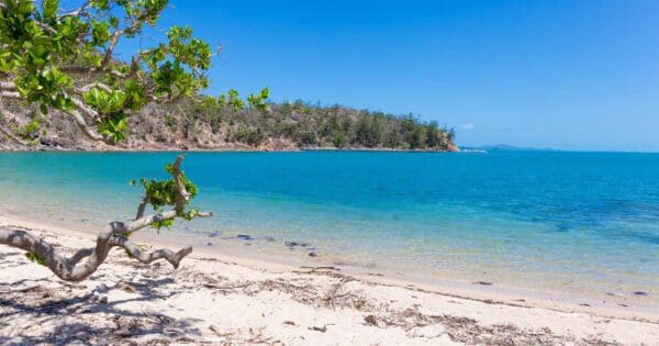 Hikes Escape beach trail view 600x315