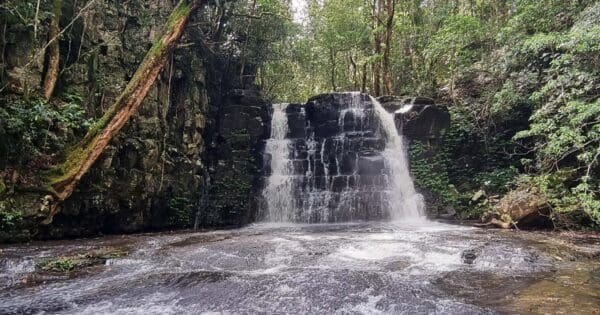 Hikes in New South Wales Jerusalem creek trail 600x315