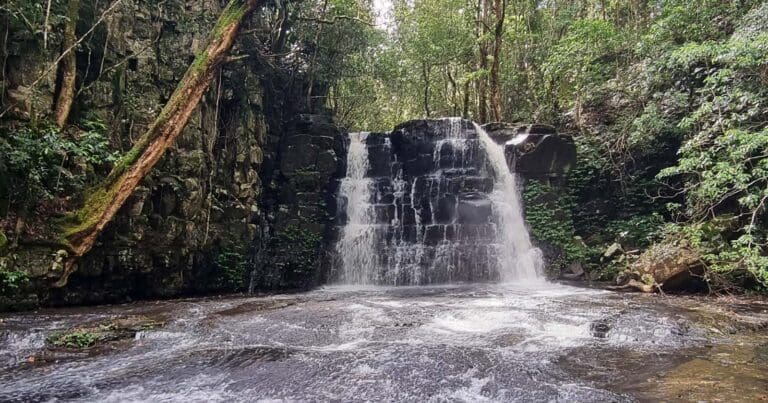 Jerusalem creek walking track