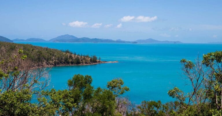 Middle Head Trail (4km) Middle head trail view 768x403