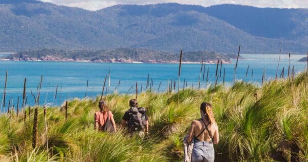 Hikes Mount jeffreys circuit 600x315