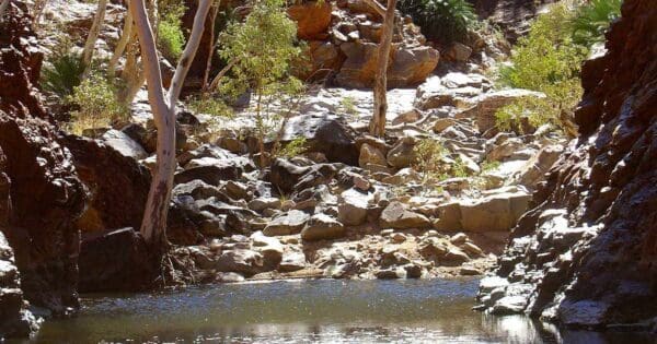 Illamurta Springs Walk (1.8km) Serpentine gorge to mount sonder 600x315