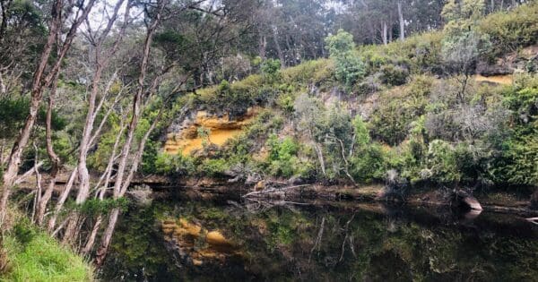 Hikes Cherry tree circuit 600x315