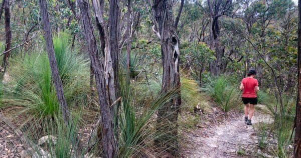 Hikes Djerriwarrh creek circuit 600x315