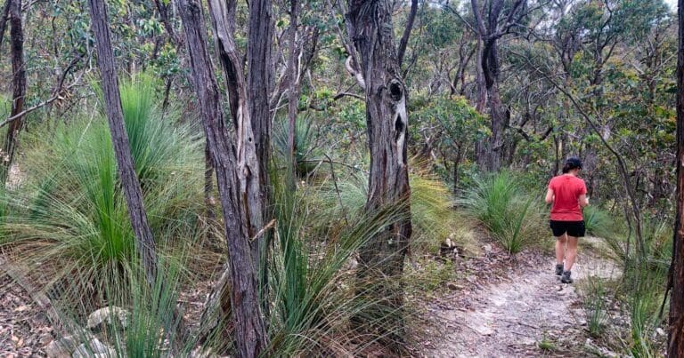 Djerriwarrh creek circuit