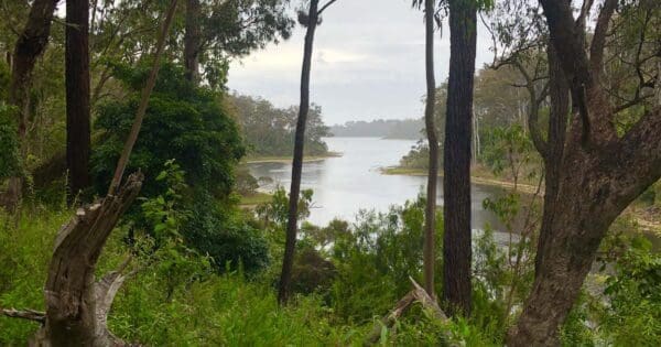 Hikes Lonely bay walk 600x315