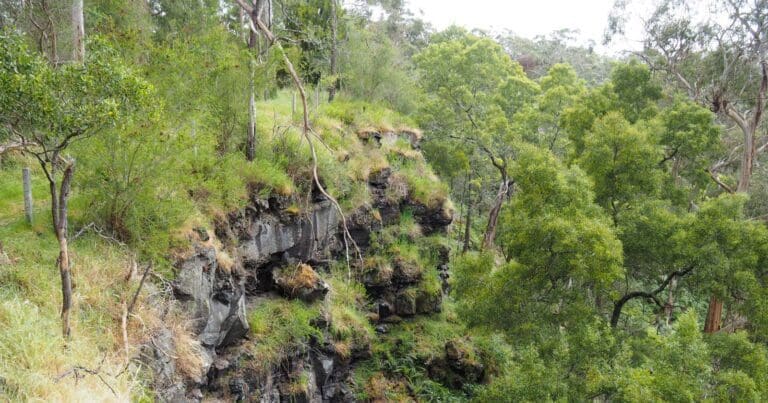 Budj Bim Crater Rim Walk (2.8km) Budj bim crater rim walk 768x403