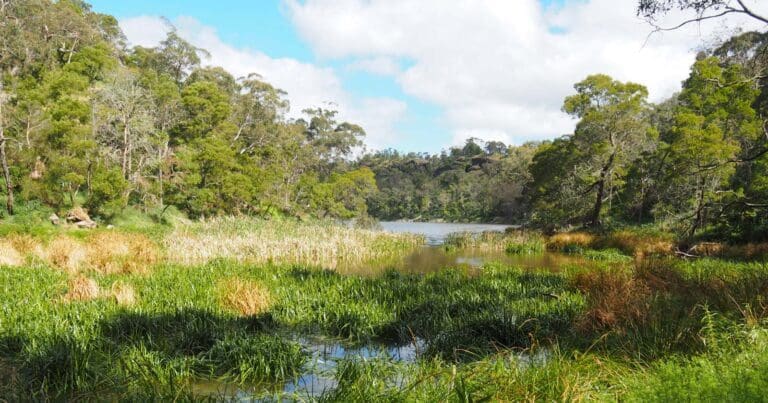 Lake Surprise Walk (2km) Lake surprise walk 768x403