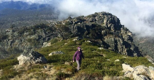 Mount cobbler plateau circuit 600x315