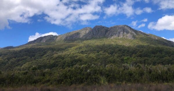 Hikes Mount farrell 600x315