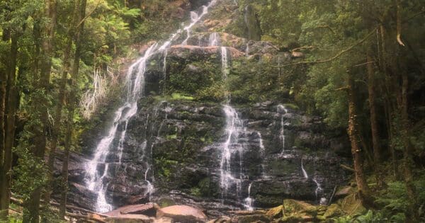 Hikes Nelson falls 600x315