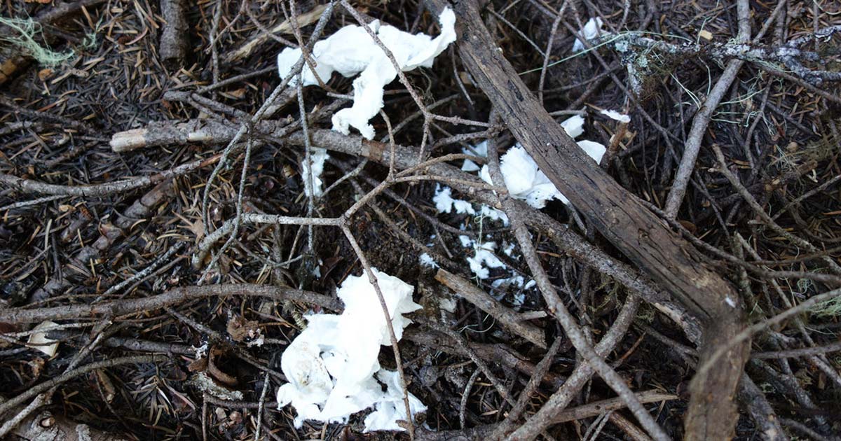 How to go to the toilet on a hike Toilet paper on trail