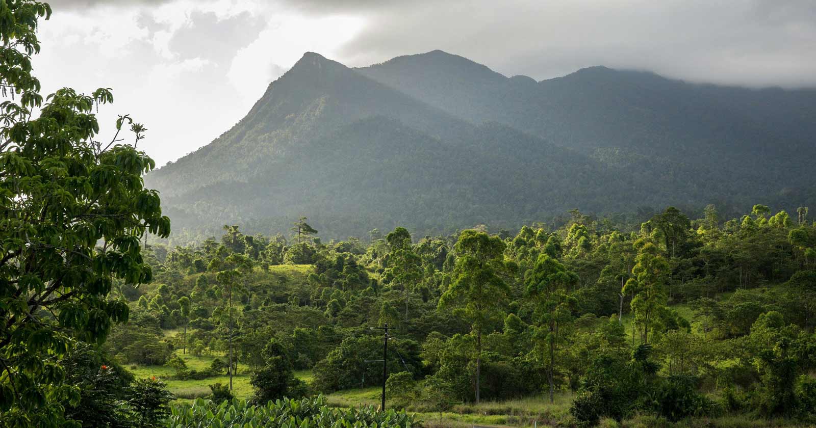 Mount bartle frere, atherton tablelands