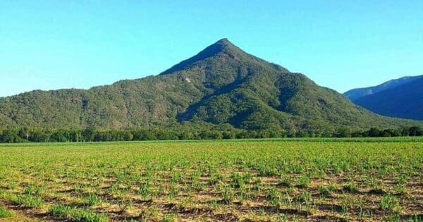Walshs pyramid walking track 600x315