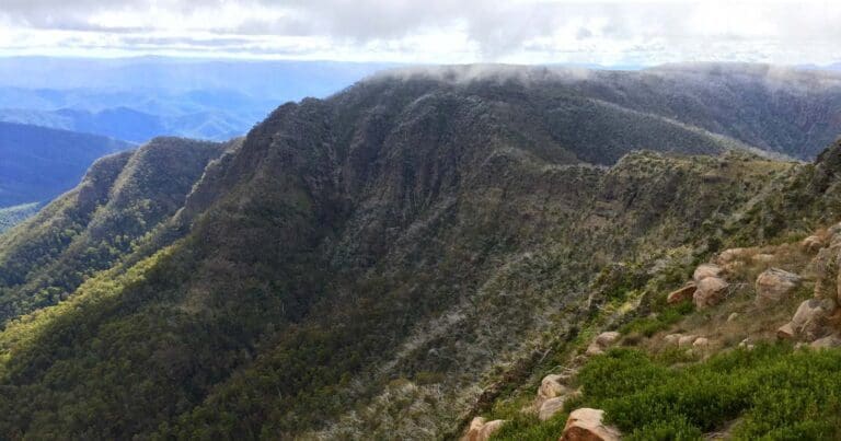 Crosscut Saw & Mt Speculation Hike (24.7km) Crosscut saw and mt speculation 768x403