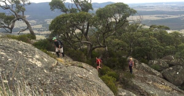Mount Gorrin Hike (8km) Mount langi ghiran 600x315