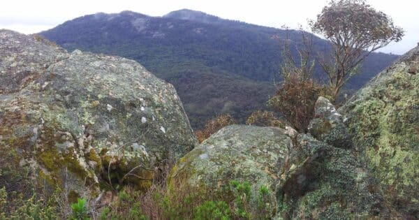 Langi Ghiran & Mount Gorrin Hike (14.5km) Trail hiking mount gorrin victoria 600x315