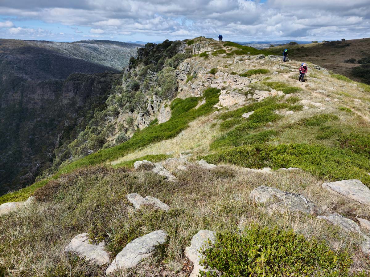 Buller huts trail