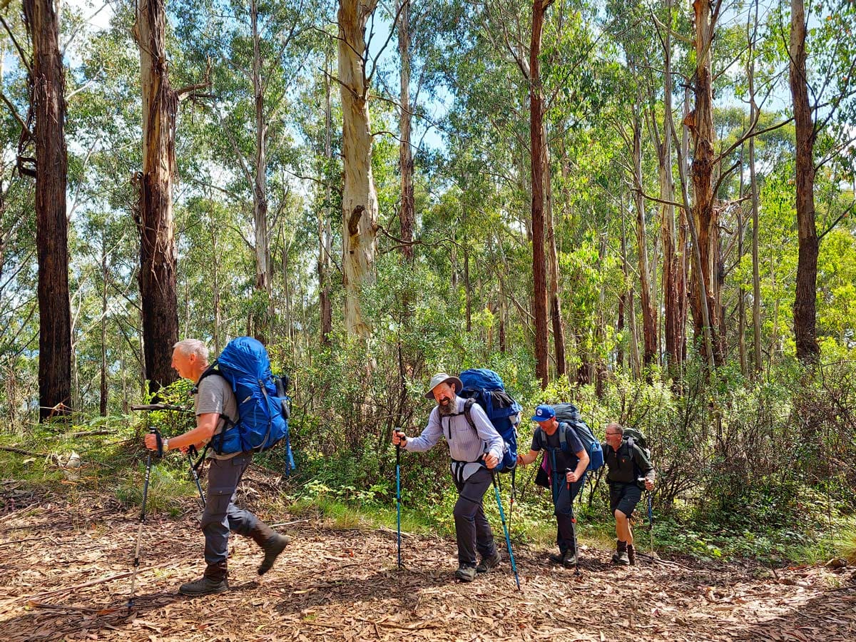 Buller huts trail