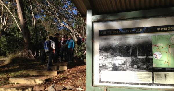Ruths Gully Circuit Hike (17km) The whipstick loop 600x315
