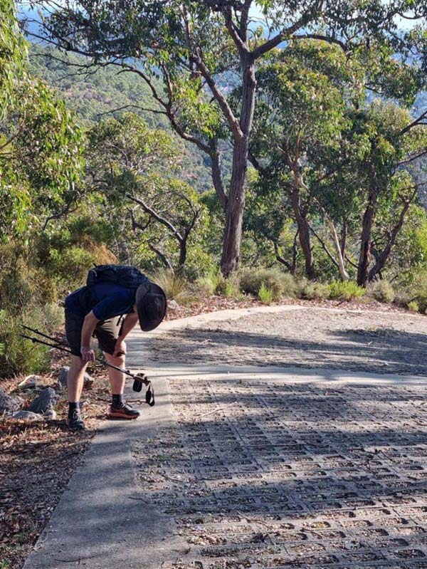 Yurrebilla trail