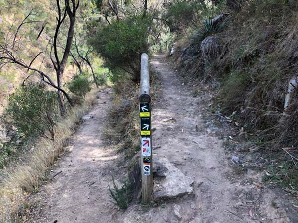Yurrebilla trail