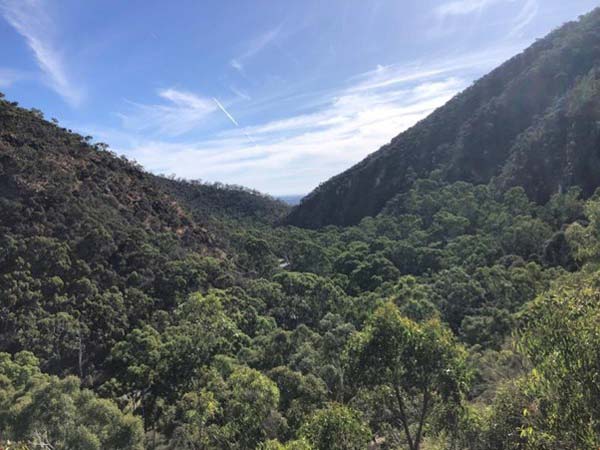 Yurrebilla trail