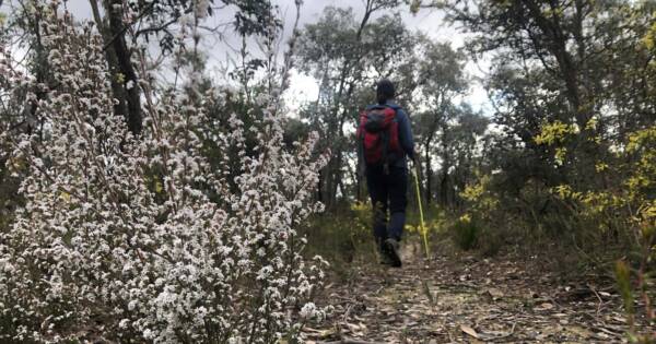 Hiking with your period
