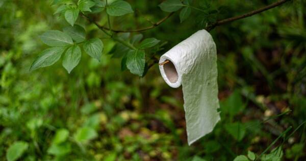 Pack out your poo