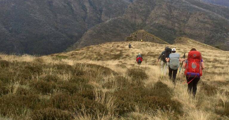 Walking downhill