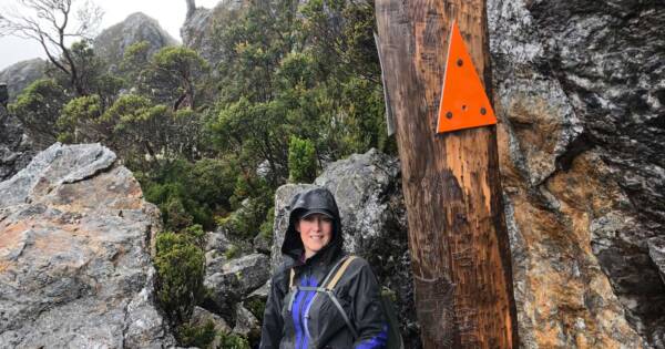 Understanding trail markers